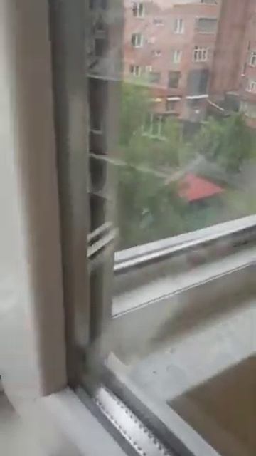 Воробей в квартире смотреть онлайн