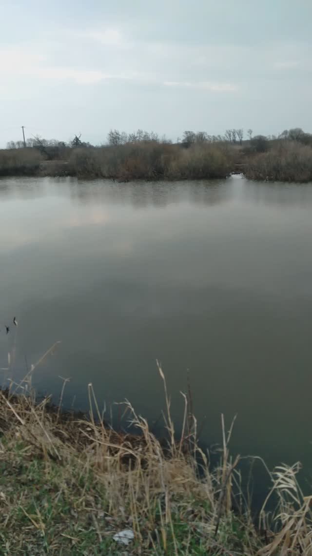 ПЕРВЫЙ ВЫЕЗД  НА РЫБАЛКУ  ИТОГ.