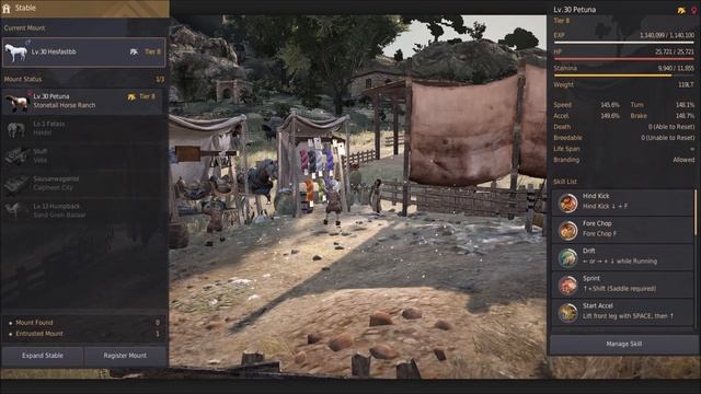 Awakening Pegasus BDO смотреть онлайн