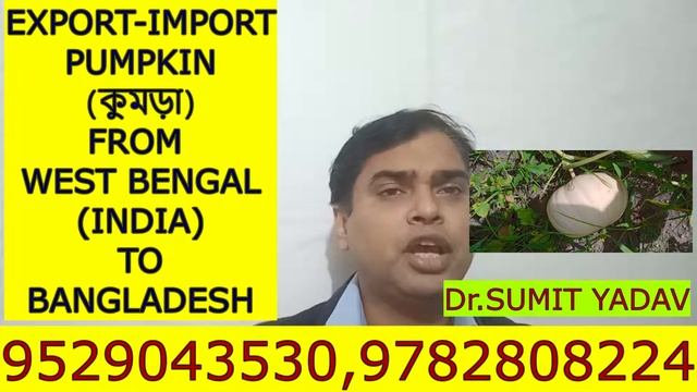 EXPORT IMPORT PUMPKIN (পাম্পকিন রপ্তানি) FROM WEST BENGALINDIA TO BANGLADESH(বাংলাদশ) смотреть онлайн