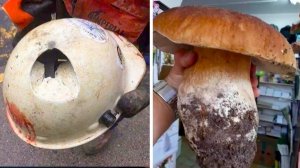 Когда удача улыбнулась истории невероятного везен