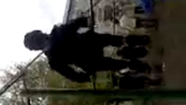 Видео 0006 смотреть онлайн