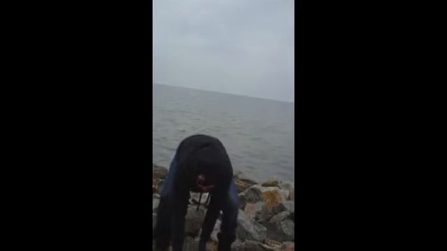 Stone Training смотреть онлайн