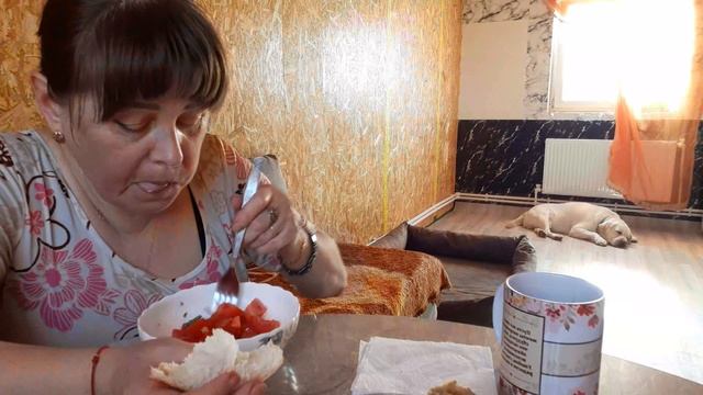 Обед в деревне, своя зелень для салатика ,Огородный сезон Открыт, грядок Не Хватило ,чтоже посадила смотреть онлайн