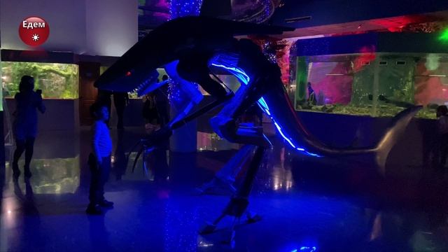 Океанариум Краснодар в ТРК Галактика. смотреть онлайн