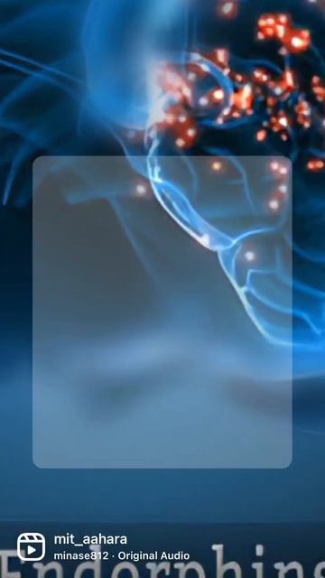 Endorphin-Happy Hormone смотреть онлайн