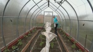 6 соток 8 мая 2021 год. Уборка в домике. Посеяли огурцы..