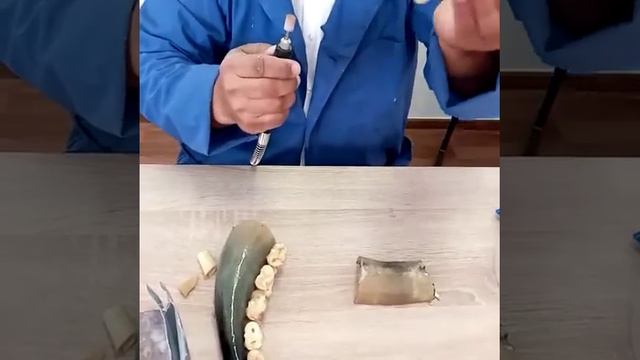 Сүйектен мүсін жасау - Бахитов Т смотреть онлайн