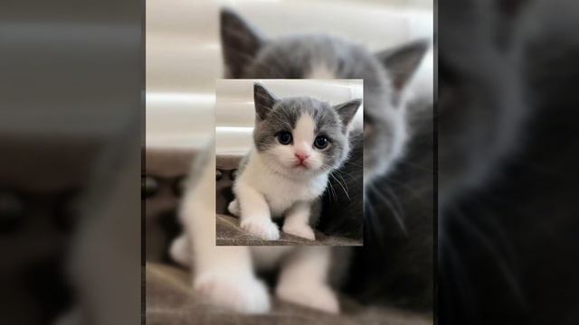 Dancin (Speed Up.ver) смотреть онлайн