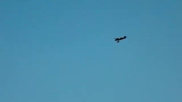 Albatros DV Maiden смотреть онлайн
