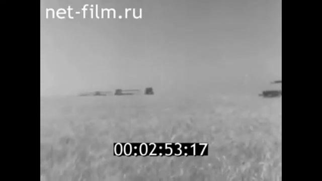 1965г. совхоз имени 62 Армии Городищенский район Волгоградская обл смотреть онлайн