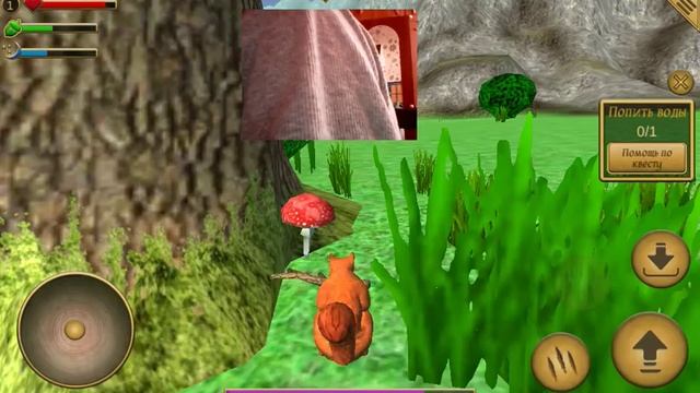 Симуллятор белки(2) смотреть онлайн