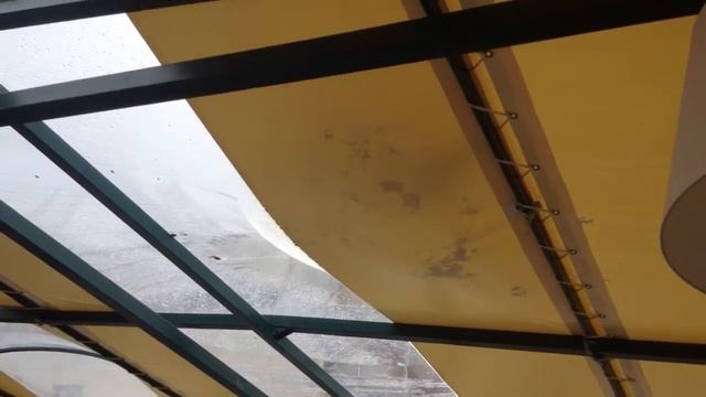 Выслеживаем чайку, репортаж Андрея смотреть онлайн