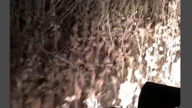 вечером на квадрах катанули смотреть онлайн