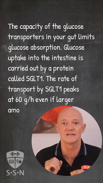 ALL YOU NEED TO KNOW ABOUT MULTIPLE TRANSPORTABLE CARBOHYDRATES OR MTCS смотреть онлайн