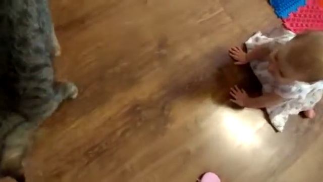 Все отложим на потом - разбираемся с котом смотреть онлайн