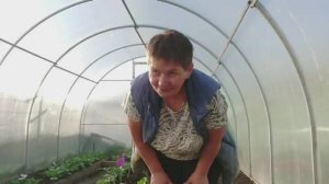 Весна. Один день год кормит. Снимать некогда. Кому одуванчики? Вышлю)))