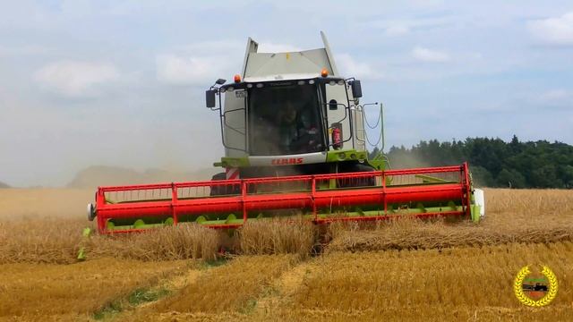 Claas Tucano 570, MF 7278 und MF mit Valtra als Abfahrer bei der Getreideernte / Barley Harvest 201 смотреть онлайн