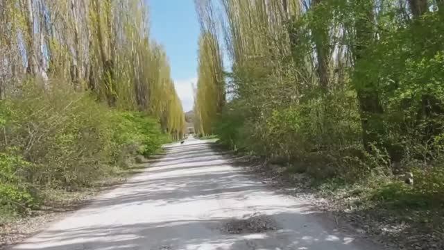 Приглашаю вас на прогулку. смотреть онлайн