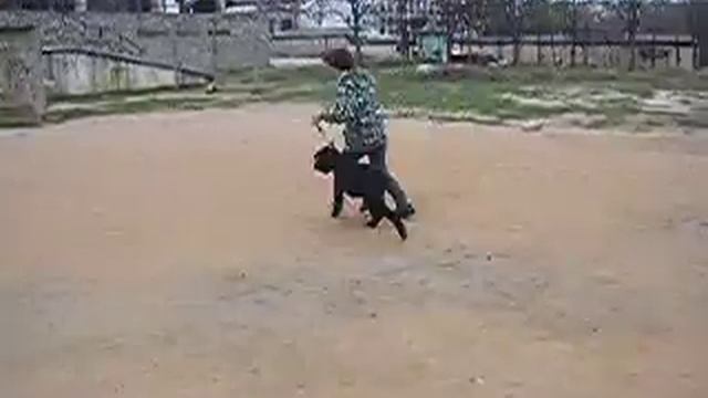 п-к Роман-Кош..Подготовка Роман-Кош Алушты к Чем. породы в Киеве 2005г. м.Балаклава - о. Добрыня смотреть онлайн