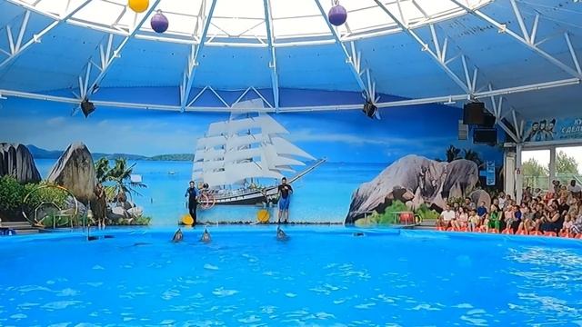 Дельфинарий 2022 08 21 смотреть онлайн
