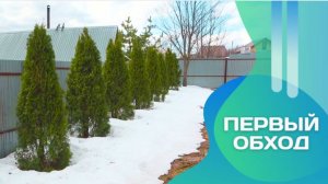 Теплица в чехле, пруд в яме, хвойный парк в мечтах — весна пришла!