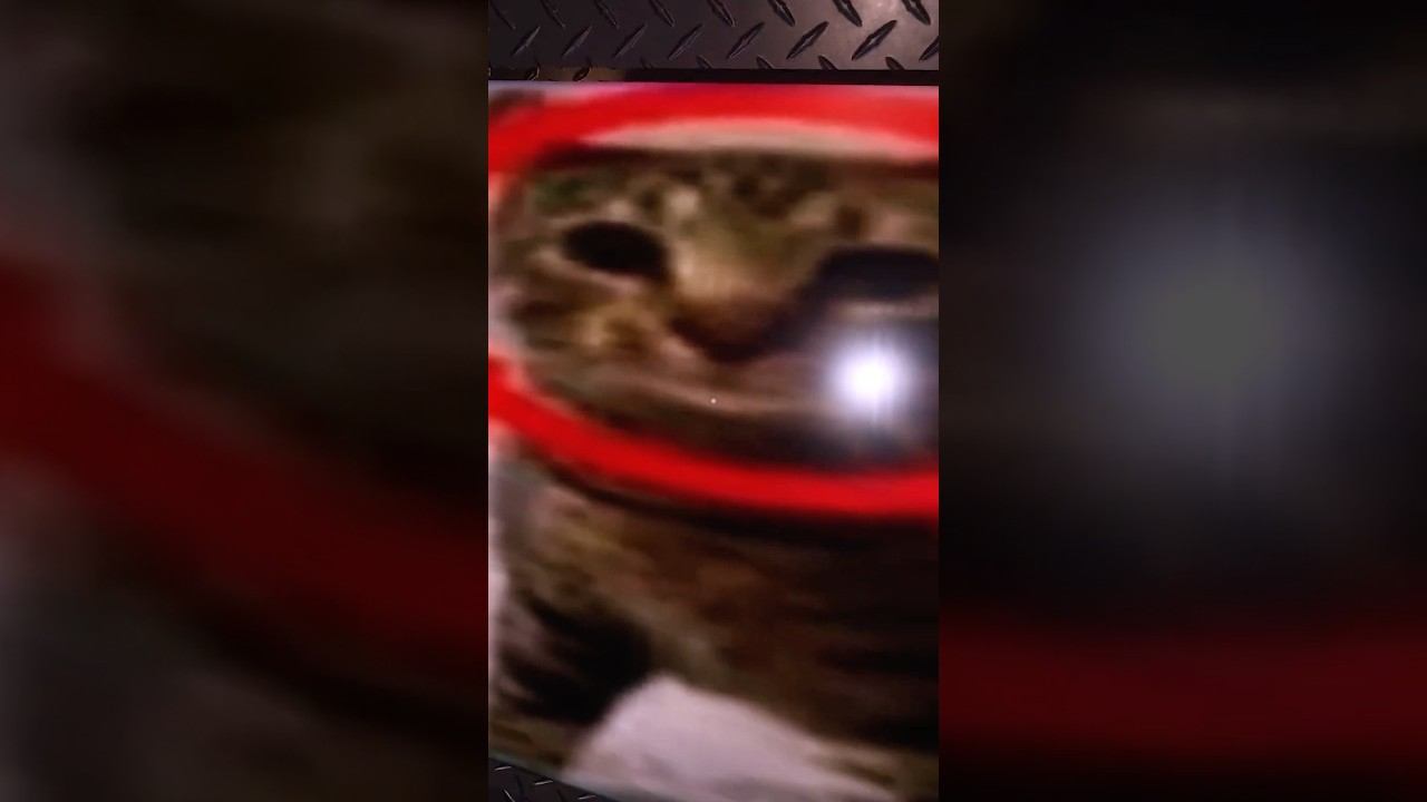 ПАСХАЛКА С КОТОМ в шахте ДОРС роблокс | DOORS FLOOR 2 roblox | Что прячется за лифтом #Shorts смотреть онлайн