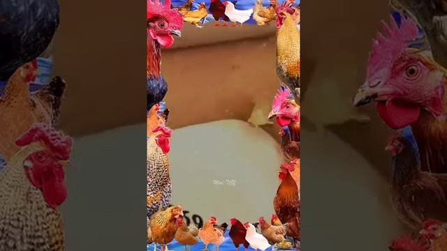ВЫДАВЛИВАНИЕ ПРЫЩЕЙ ЧИСТКА КОЖИ‼️🎀 смотреть онлайн