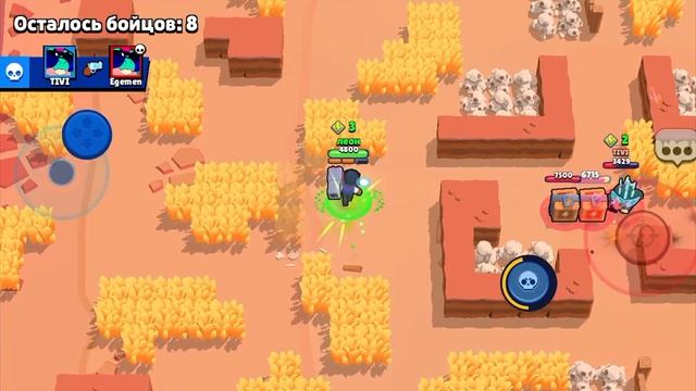 у меня есть Лили бравл пасс 🤯 смотреть онлайн