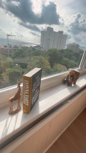 30th anniversary edition The Secret History by Donna Tartt #booktube #aesthetic #darkacademia смотреть онлайн