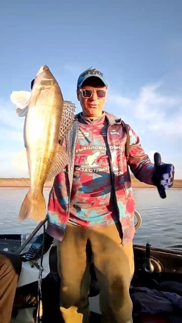 На чиле #рыбалка