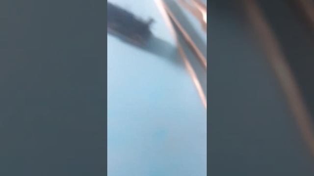 Trocando o micro switch do mouse Razer DeathAdder 3500 DPI смотреть онлайн