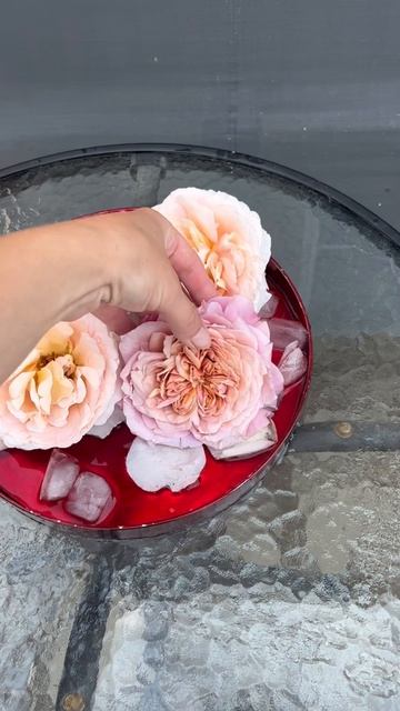 Roses23’ смотреть онлайн