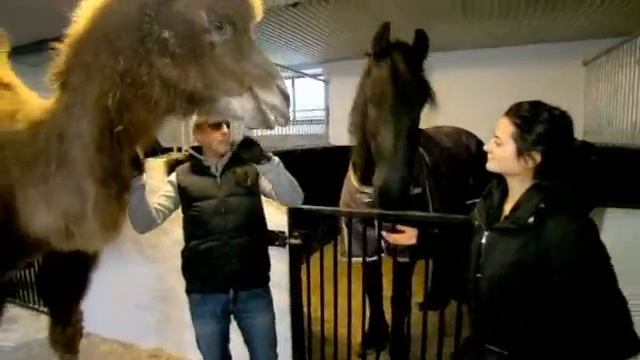 Ponnyakuten - kamelen Sven смотреть онлайн