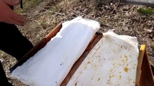 Мир не без добрых людей