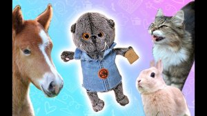 БАСИК  В КИСЛОВОДСКЕ?/ Прогулка по Кисловодску/ Кисловодск 2021 #басики #басик