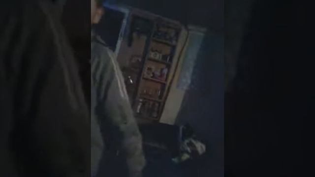 мальчик из астаны перепел шакрукх кхана