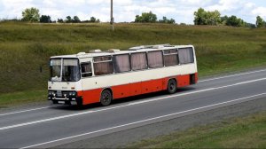 Автобус Икарус-250.95 (Ikarus 250.95)(Х 221 ТТ 22)(1080р)