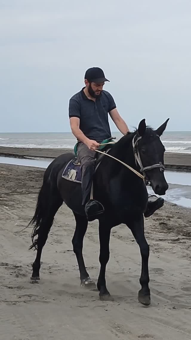 Дагестан, п. Приморский. Здесь можно покататься на лошадях по побережью Каспийского моря смотреть онлайн