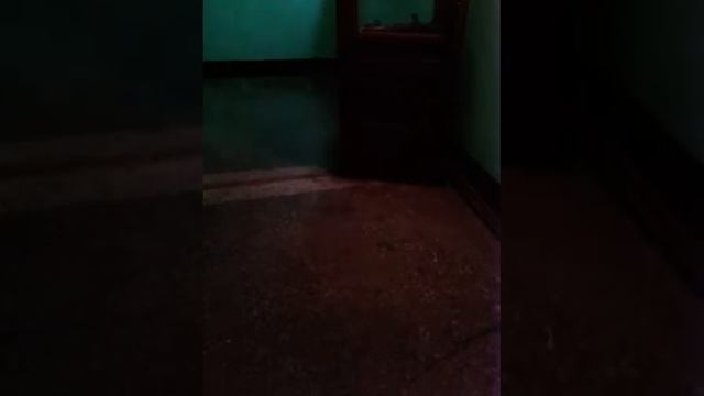 Вызов духа сатаны:-) смотреть онлайн