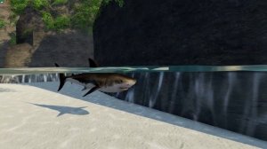 Остров Черепа сервер ViWorld(3dxchat)