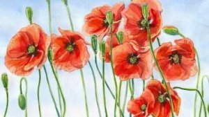 Мак (клип 2025 ) - 1.000