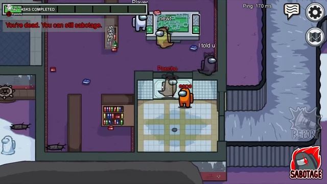 [10] Game of Deception (Let's Play Among Us w/ Poncho and Friend) - Episode 10 смотреть онлайн