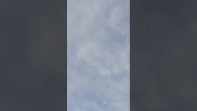 Мелитополь 11.05.2021г. смотреть онлайн