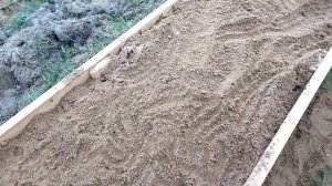 Подготовка грядки под клюкву