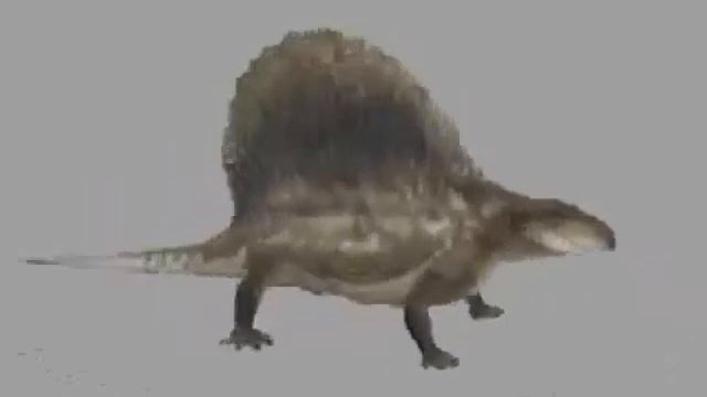 Low quality Dimetrodon spinning to the ARK theme. смотреть онлайн