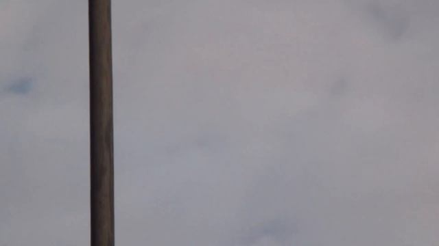 2декабря СПОРТ ВТОРОЙ ЗАВОЗ ВСЕ ДОМА смотреть онлайн