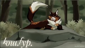 |клип|коты-воители|кленовница|охота на лисицу|