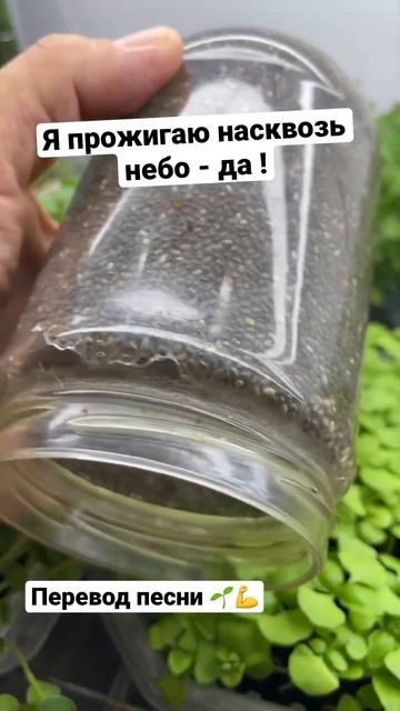 Ростки - Новый эксперимент ! смотреть онлайн