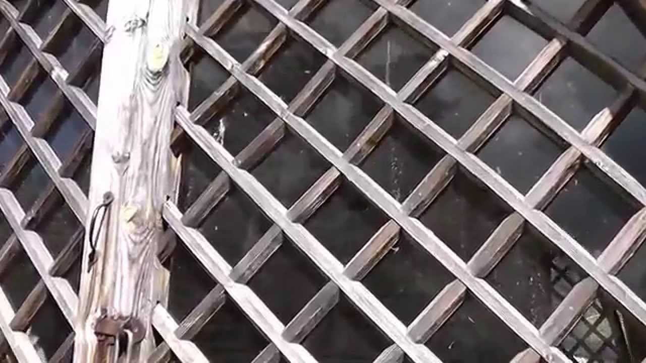 Наше путешествие